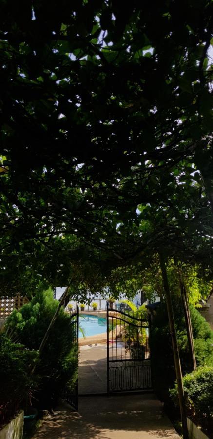 La Casa De Samonteza Hotel San Francisco  Kültér fotó